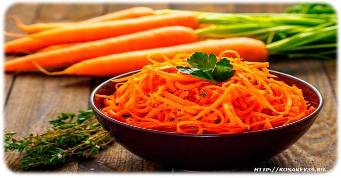 Вред моркови на организм