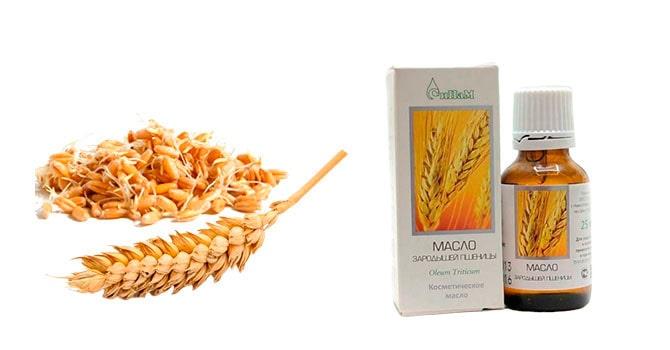 Польза масла зародышей пшеницы