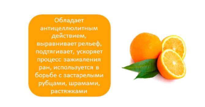 Фото апельсина